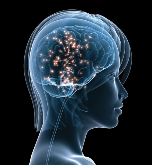 ecuadoruniversitario_usfq_taller_como_procesa_informacion_el_cerebro