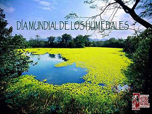 dia-mundial-humedales-epn-eu