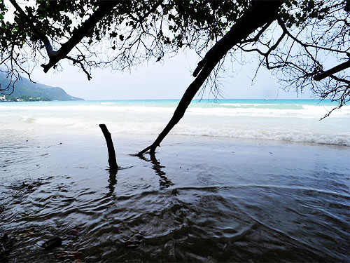mauritia-eu