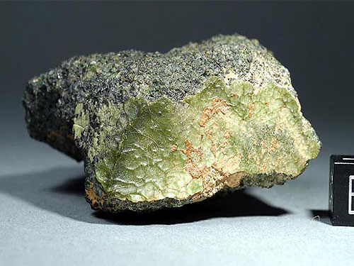 nwa7325-green-Ralew3-eu