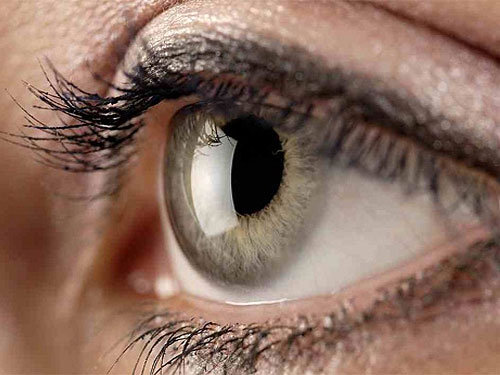 Eye-polymer-eu