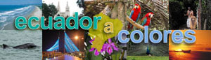 banner-ecuadoracolores-300