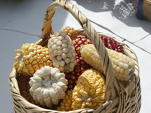 iniap-redescubriendo-sabores-eu
