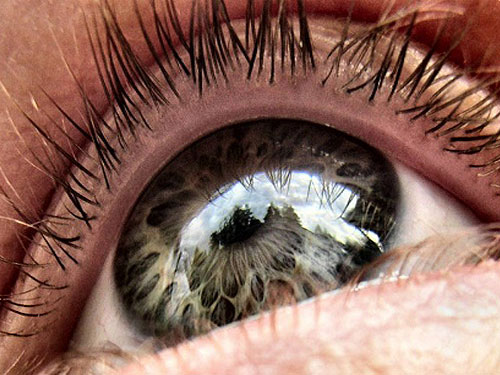 umoove-eye-control-eu