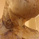 utpl-exposicion-arte-docentes-eu
