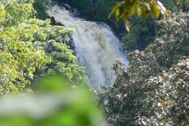 UNESCO designará nuevas reservas de biosfera